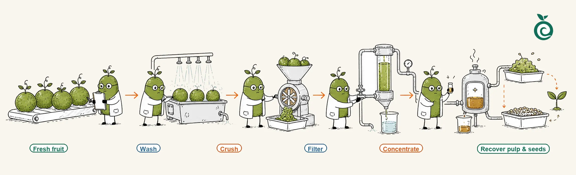 From fresh fruit to sweetener product