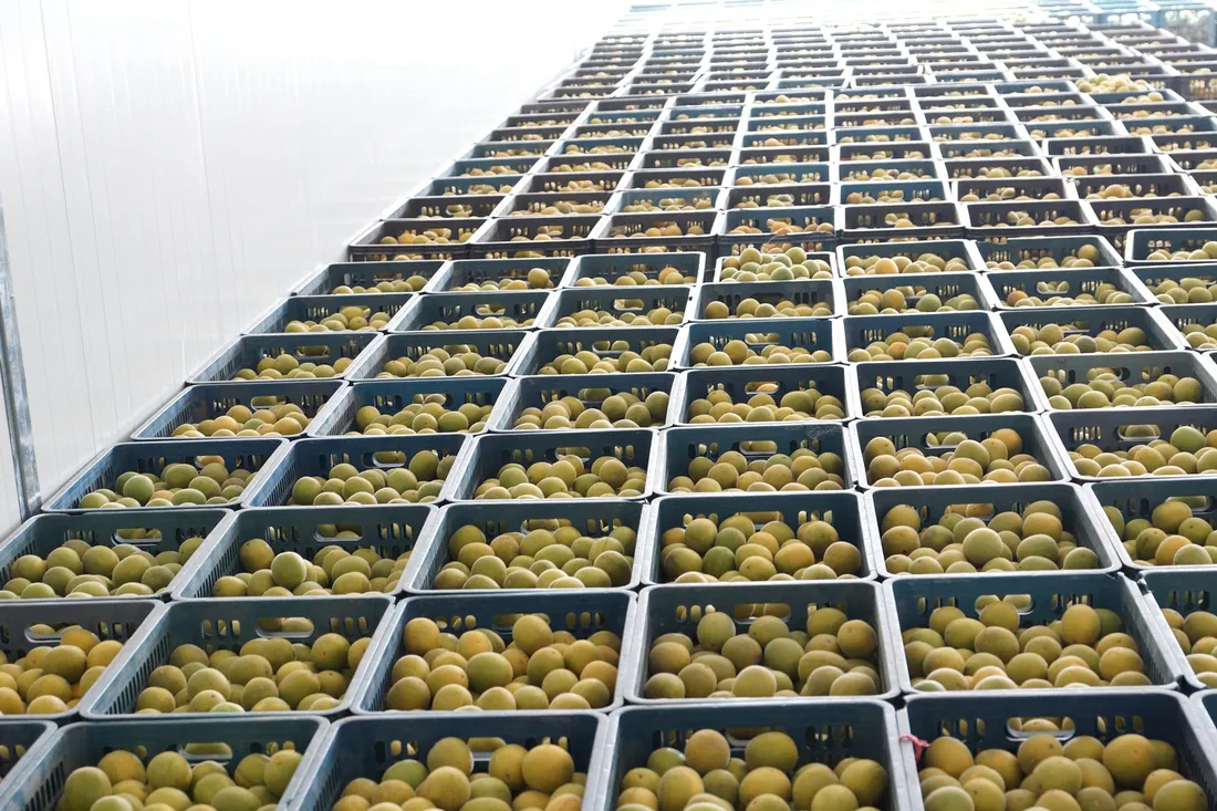 Raw material storage